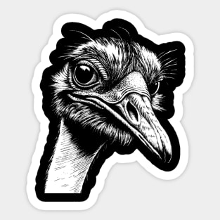 Ostrich head art in linear style Sticker